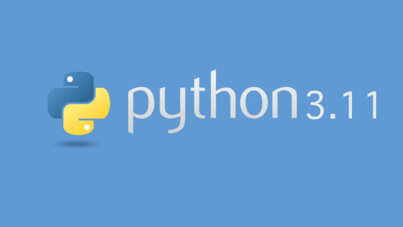 Python 3.11 representation